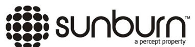 Sunburn Festival